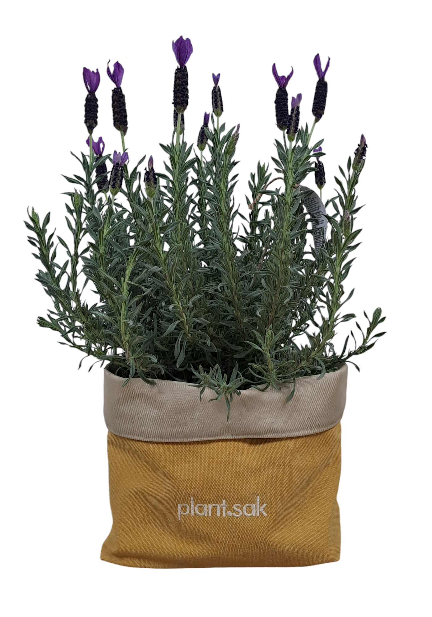 plant.sak | borrie geel